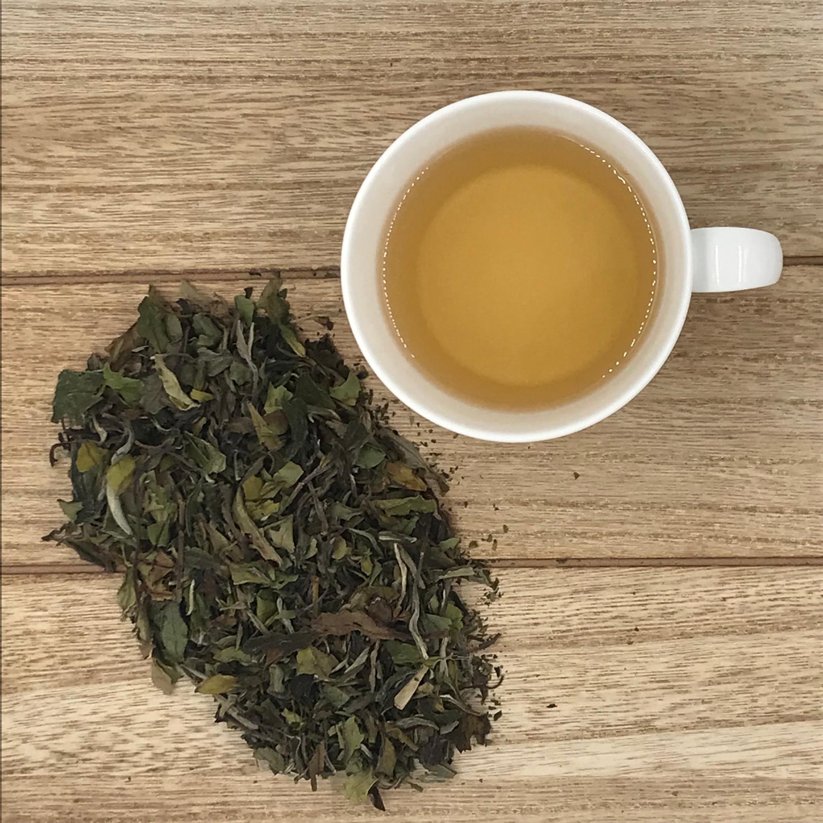 Weißer Tee - China Pai Mu Tan Premium